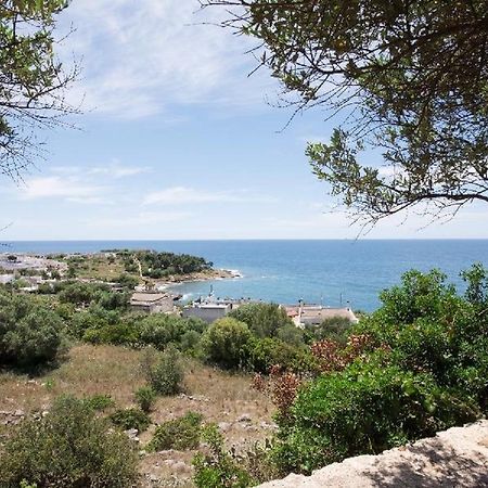Villa Urania トッレ・サン・ジョヴァンニ・ウジェント エクステリア 写真
