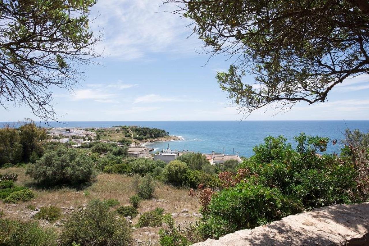 Villa Urania トッレ・サン・ジョヴァンニ・ウジェント エクステリア 写真